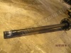 p_ (55045).jpg
