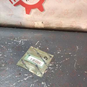 IMG_4822.JPG