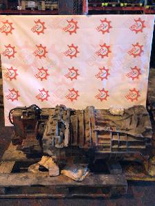 IMG_1585.JPG