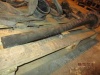 p_ (53734).jpg