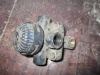 p_ (38854).jpg
