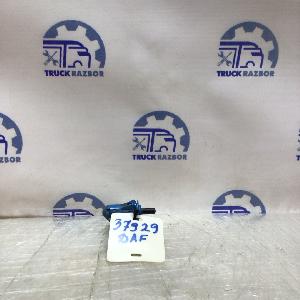 IMG_3782.JPG