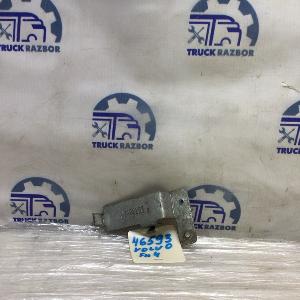 IMG_9353.JPG