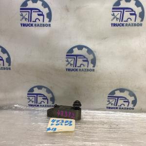 IMG_2603.JPG