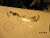p_ (65499).jpg