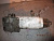p_ (38470).jpg