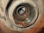 p_ (69754).jpg