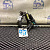 IMG_2330.JPG