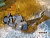 p_ (48383).jpg