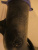 Горловина заливная