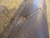 IMG_1549.JPG