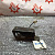 IMG_9059.JPG
