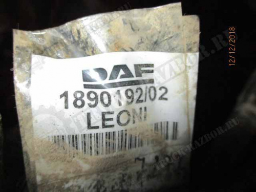 Электропроводка фар. L DAF