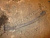 p_ (62021).jpg