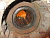 p_ (57447).jpg