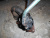 Клапан EGR Volvo Клапан EGR Volvo
