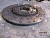 p_ (45221).jpg