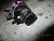 p_ (42705).jpg