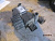 p_ (50074).jpg